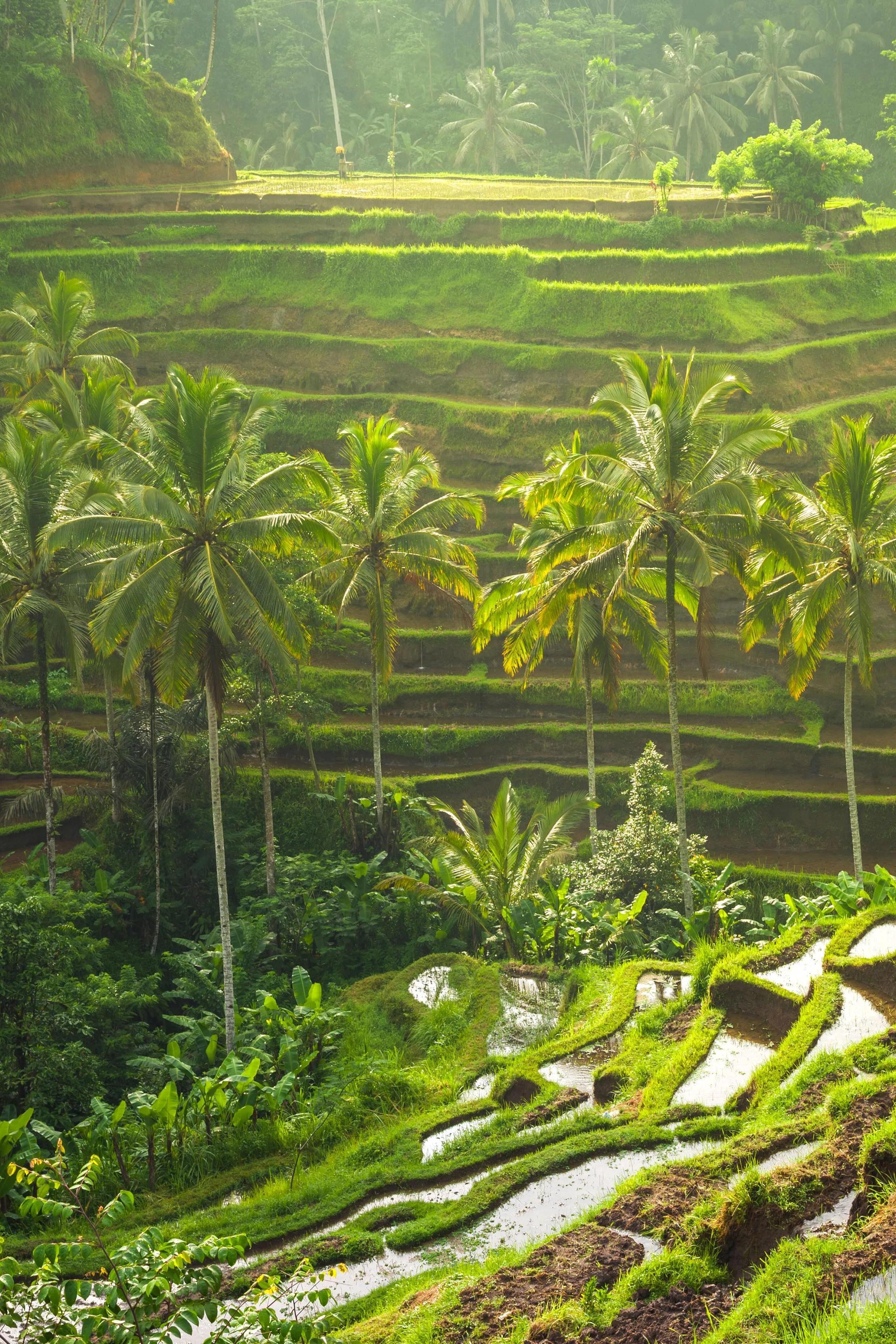 Jalur Pemandangan