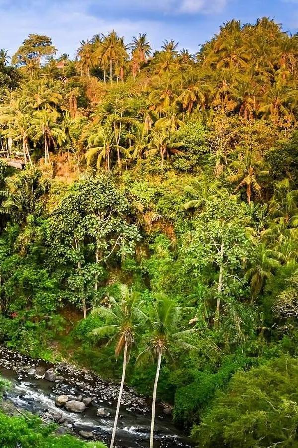 Air Terjun Tegenungan